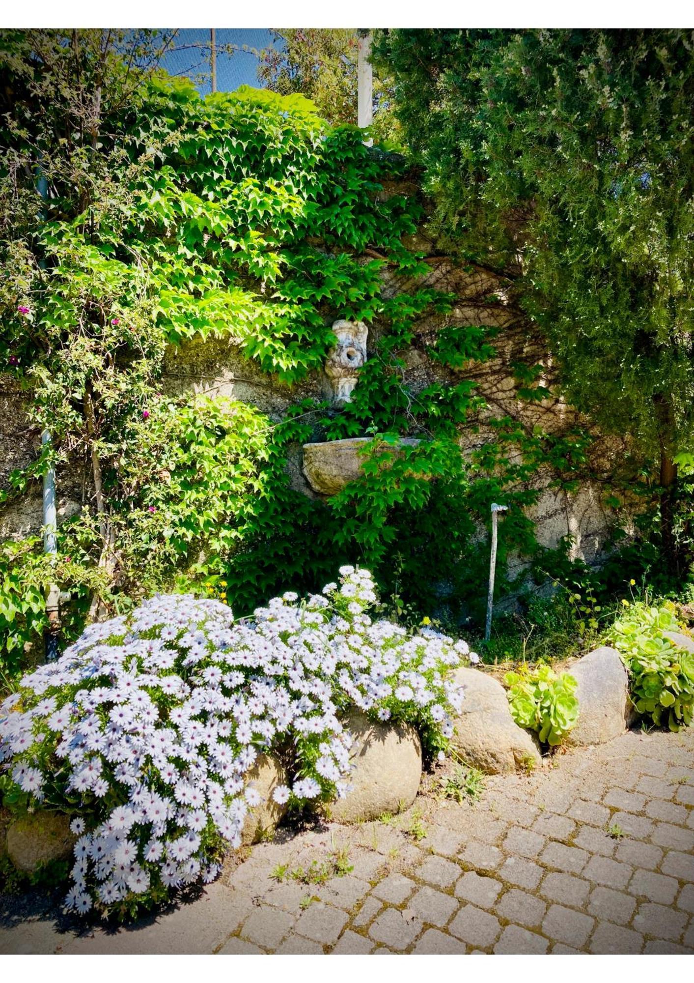 Villa Scilla E Cariddi Messina Eksteriør bilde