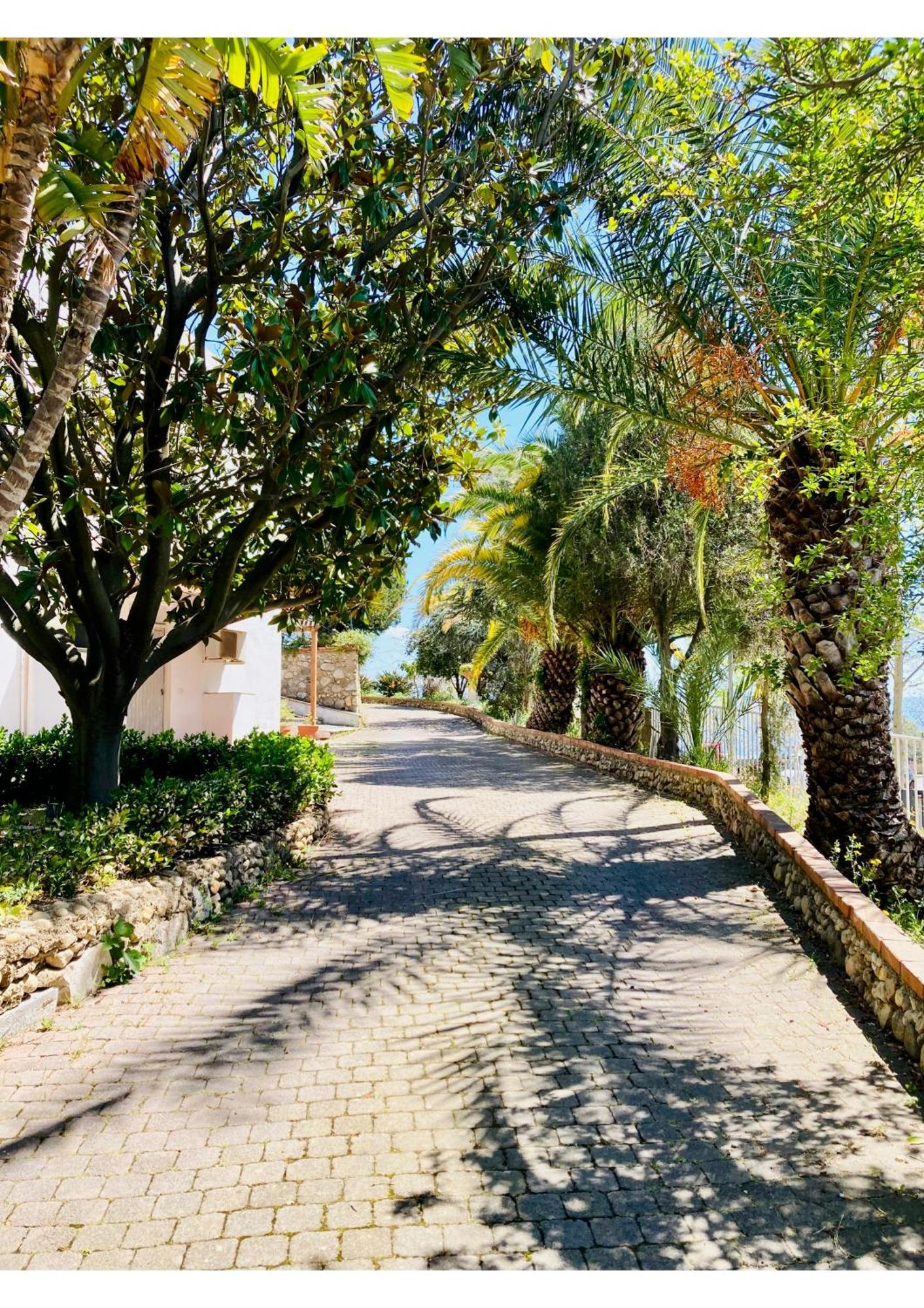 Villa Scilla E Cariddi Messina Eksteriør bilde