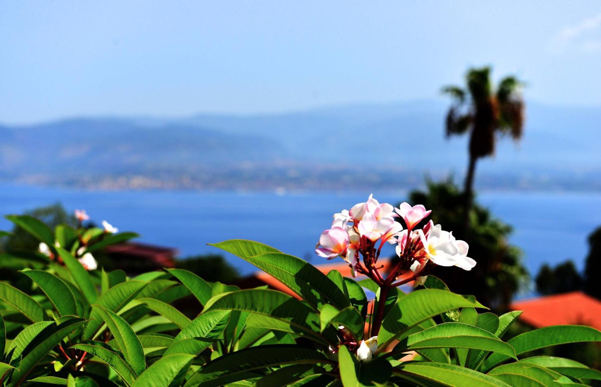 Villa Scilla E Cariddi Messina Eksteriør bilde
